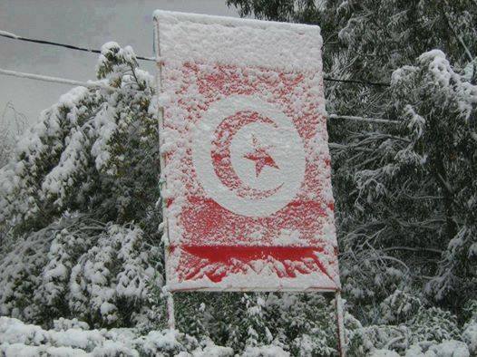 Article : Il « beige » en Tunisie