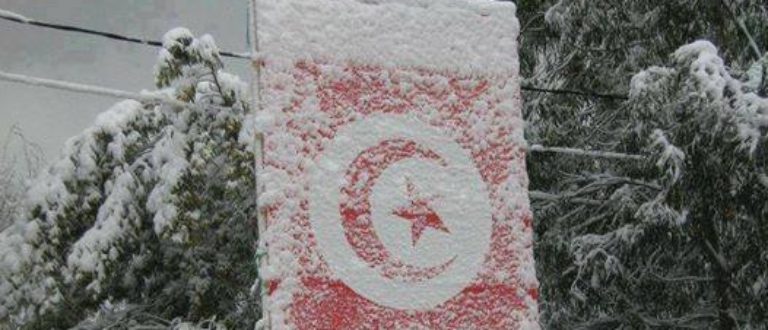 Article : Il « beige » en Tunisie